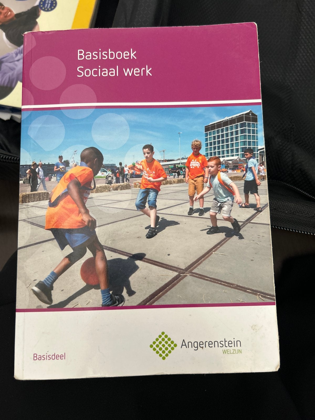 Basisboek Sociaal werk - Angerenstein Welzijn, Boeken, Studieboeken en Cursussen, Ophalen, Gamma, Zo goed als nieuw, MBO
