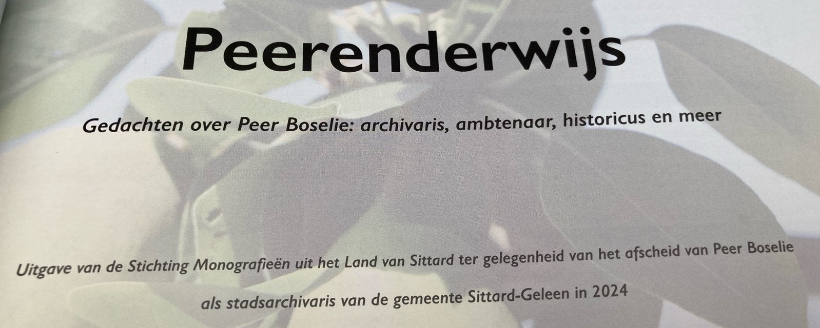 Peerenderwijs: Gedachten over Peer Boselie, Ophalen of Verzenden, 20e eeuw of later, Zo goed als nieuw