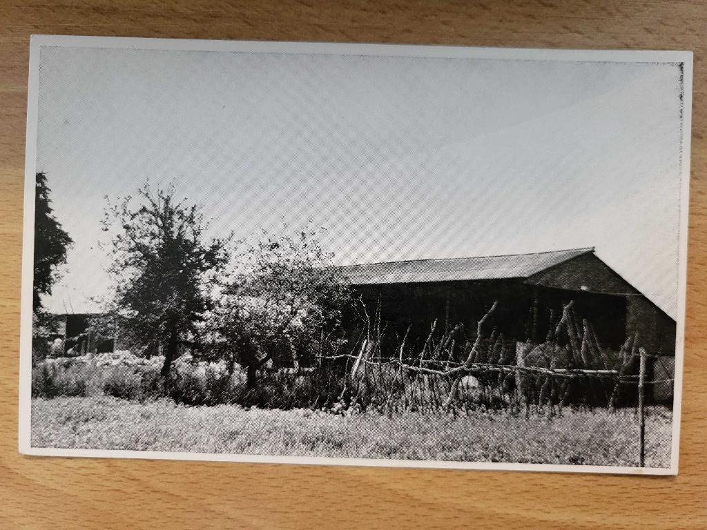 ansicht Loon op Zand Duiksehoef, Ophalen of Verzenden, Voor 1920, Noord-Brabant
