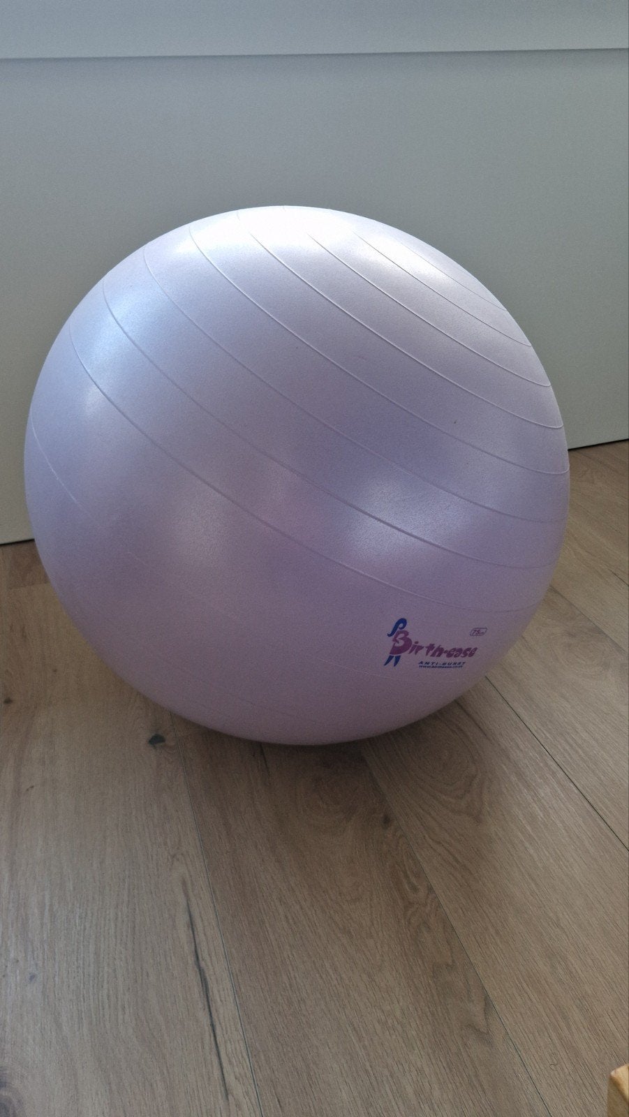 Zwangerschapsbal / fitnessbal, Ophalen, Zo goed als nieuw, Overig
