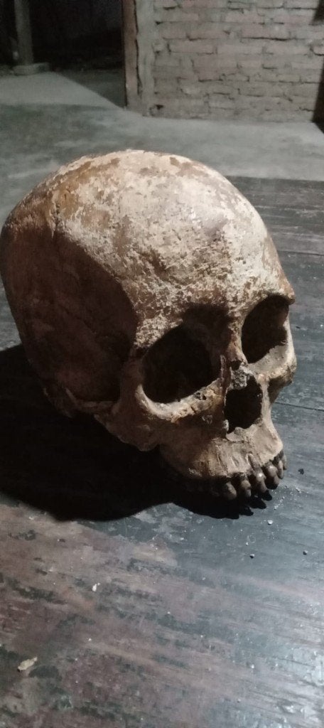 Homo sapien schedel, Ophalen of Verzenden, Fossiel