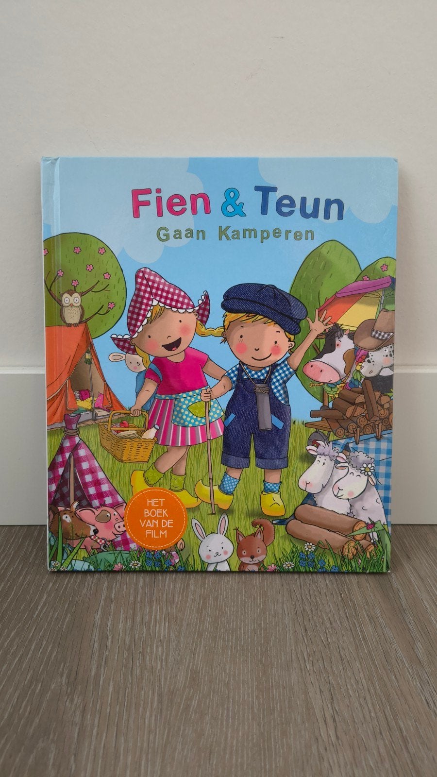 Fien & Teun Gaan Kamperen, Ophalen of Verzenden, Zo goed als nieuw, Onbekend, 2 tot 3 jaar