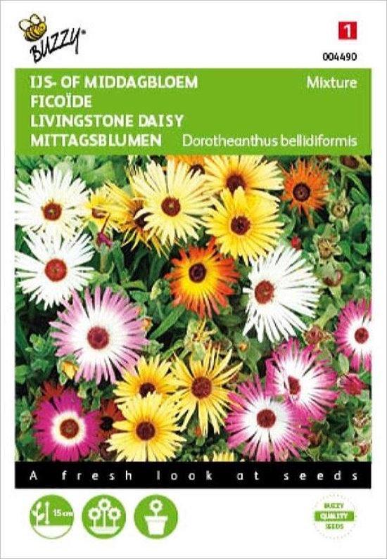 Bloemzaden - mesembryanthemum (Dorotheanthus), Verzenden, Volle zon, Zaad