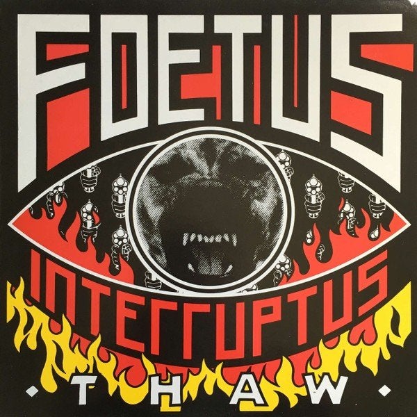 foetus interruptus/thaw-electronic/punk/industrial-ZELDZAAM, LP, Gebruikt, Verzenden, Electronic Rock