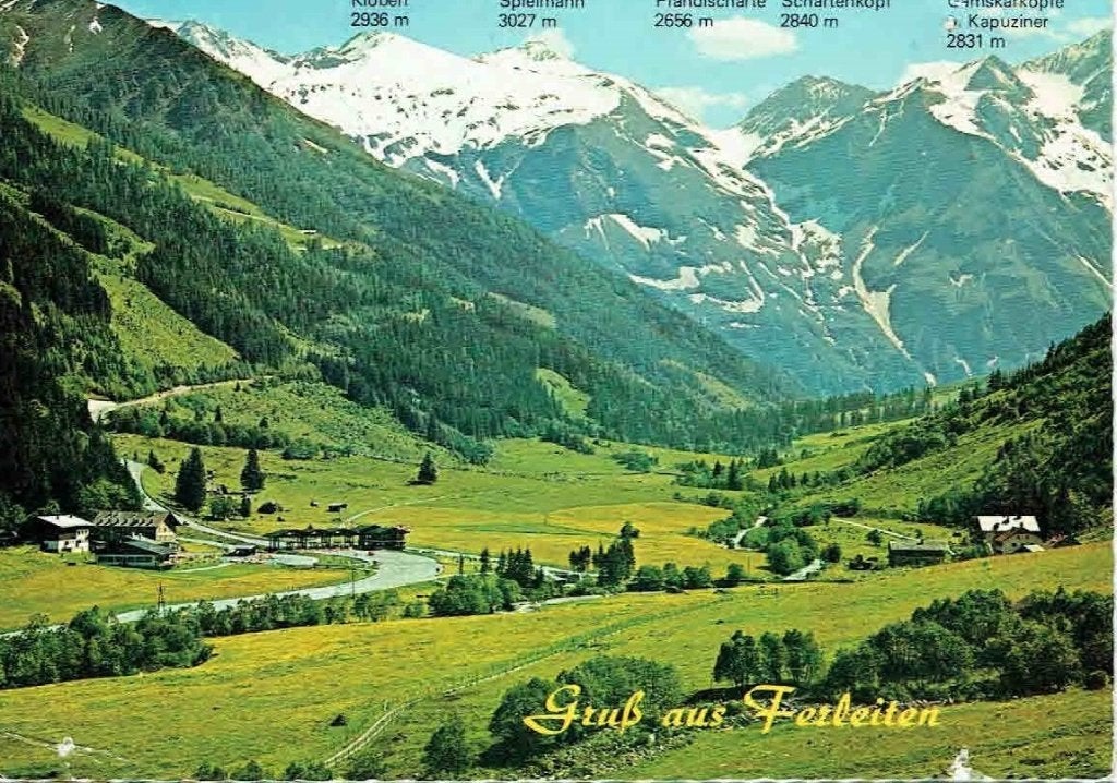 Oostenrijk 1980 Ferleiten Salzburg > Gameren, Verzenden, 1980 tot heden, Gelopen, Natuur