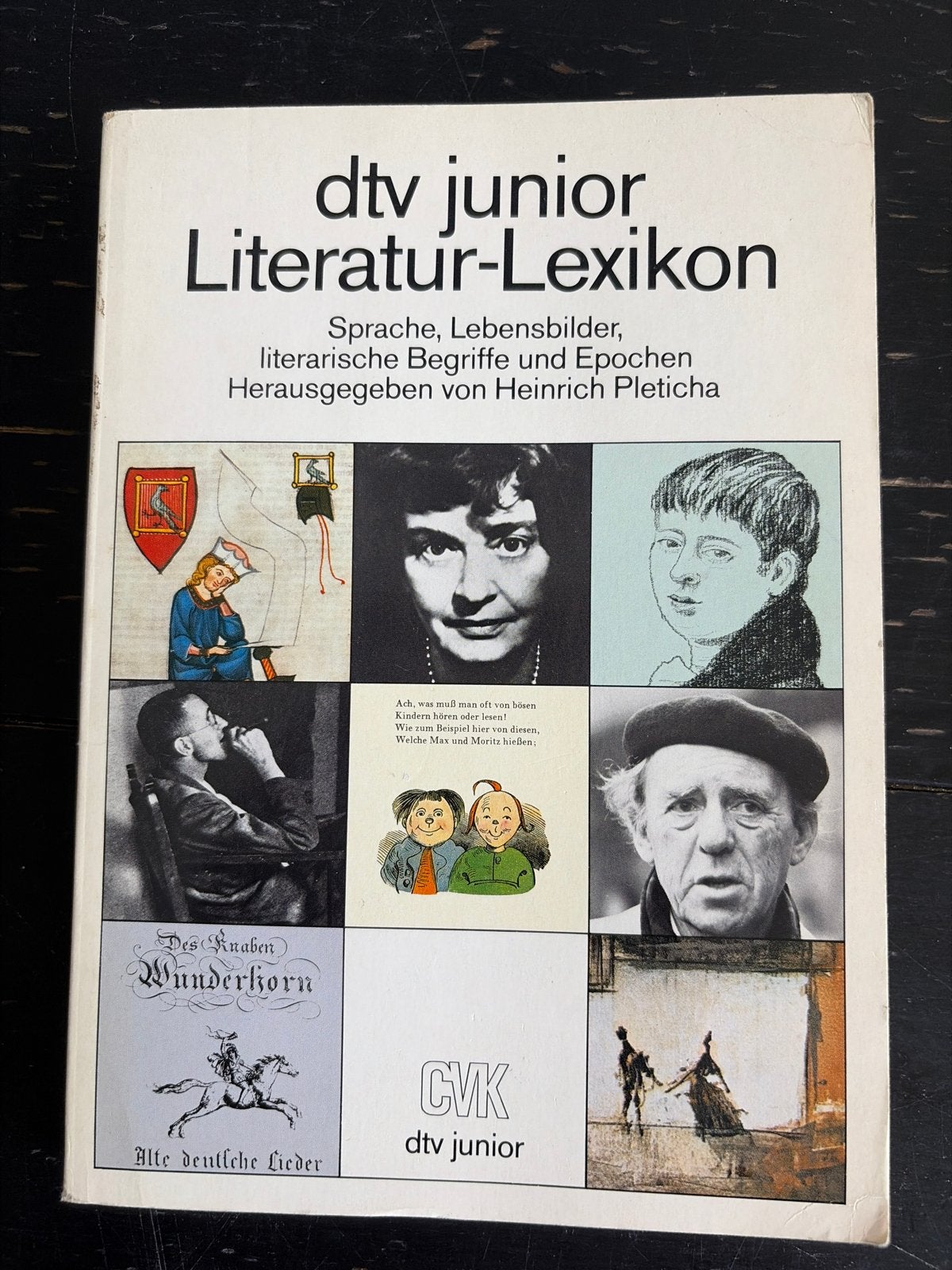 DTV Junior Literatuur-Lexicon - Heinrich Pleticha, Boeken, Ophalen of Verzenden, Zo goed als nieuw, Europa overig