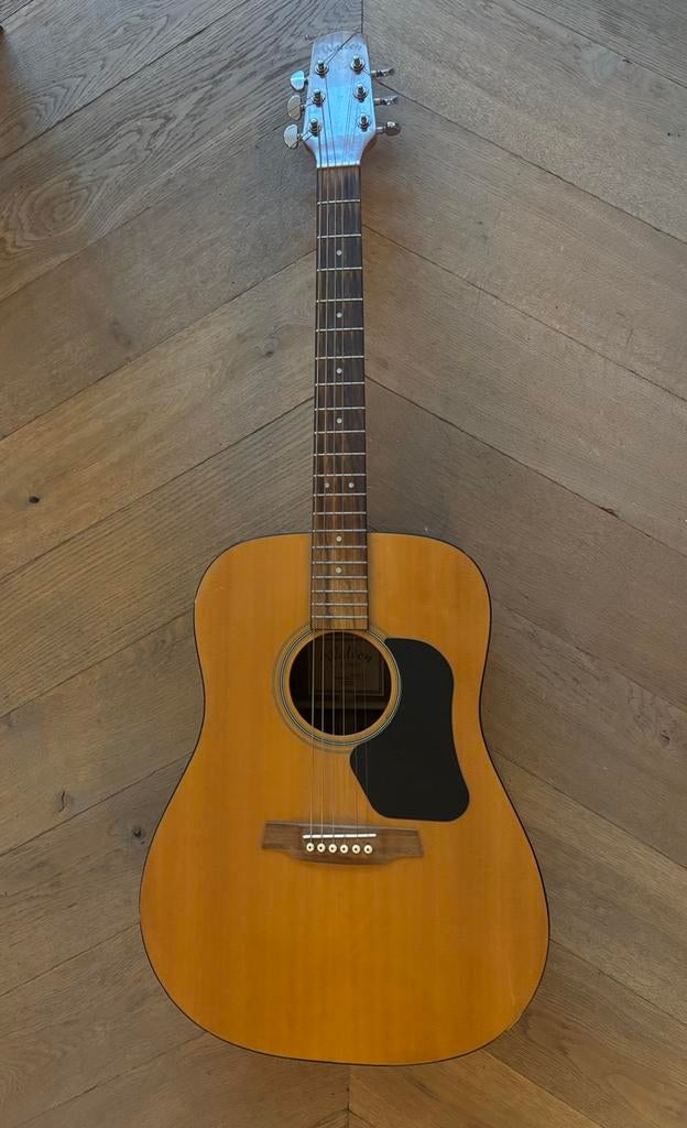 Walden D350E western semi-akoestisch, Muziek en Instrumenten, Snaarinstrumenten | Gitaren | Akoestisch, Ophalen of Verzenden, Zo goed als nieuw