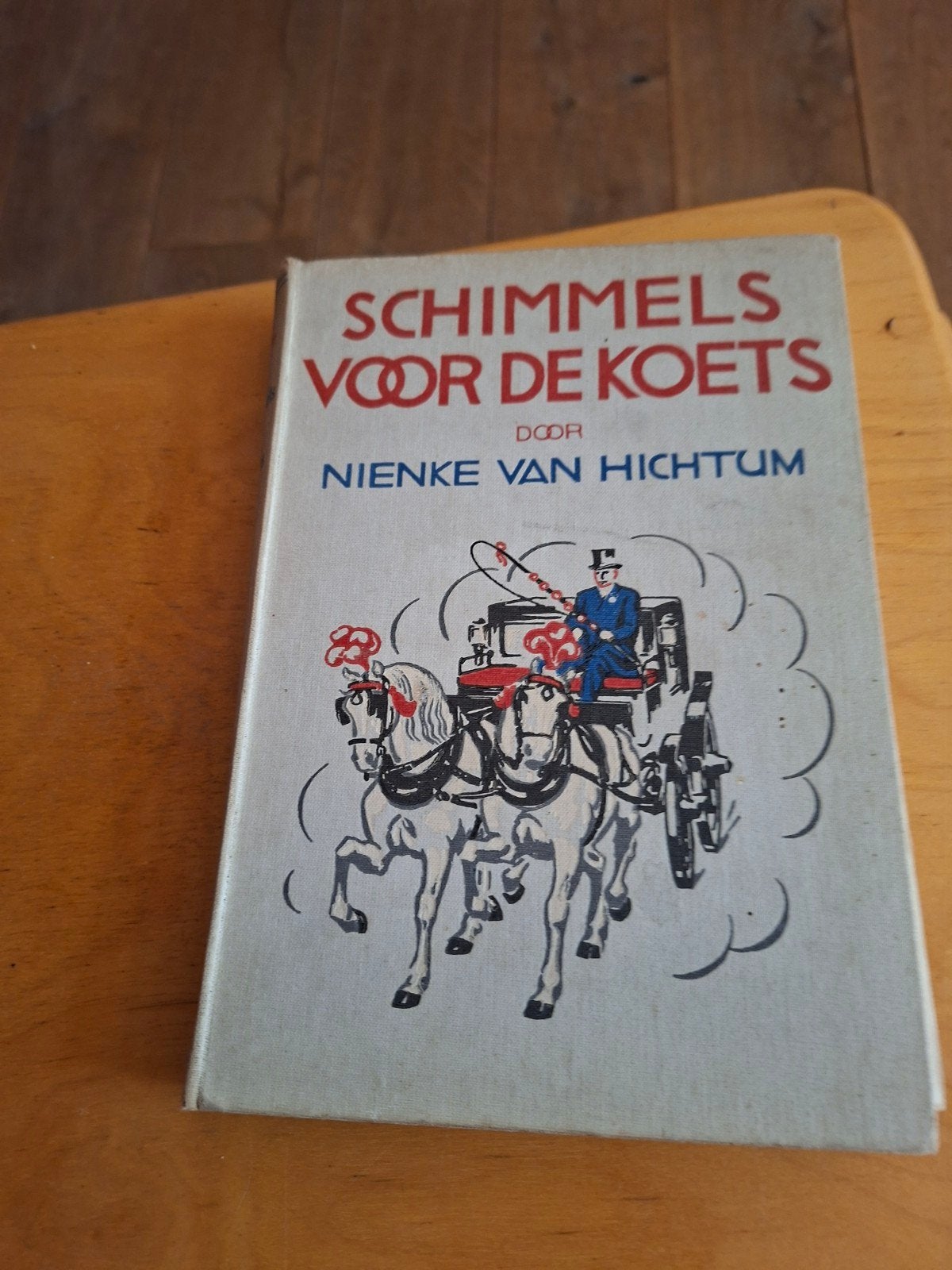 Schimmels voor de Koets - Nienke van Hichtum (Vierde Druk), Ophalen of Verzenden, Gelezen, Nienke van Hichtum, Fictie algemeen