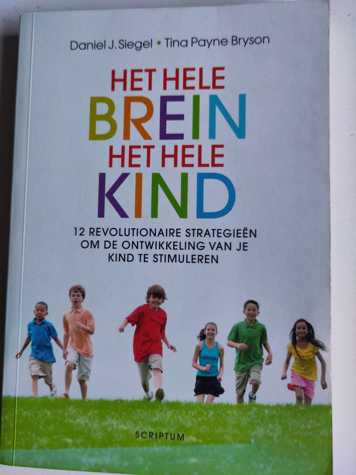 Het Hele Brein, Het Hele Kind - D.J. Siegel T. Payn, Ophalen of Verzenden, Zo goed als nieuw, Opvoeding tot 6 jaar, Daniel J. Siegel, Tina Payne Bryson