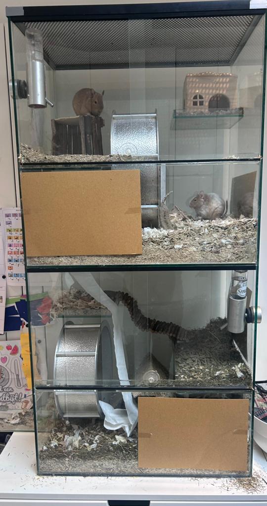 Terrarium knaagdierkooi reptielen verblijf, Dieren en Toebehoren, Ophalen, Gebruikt, Minder dan 75 cm, 90 cm of meer