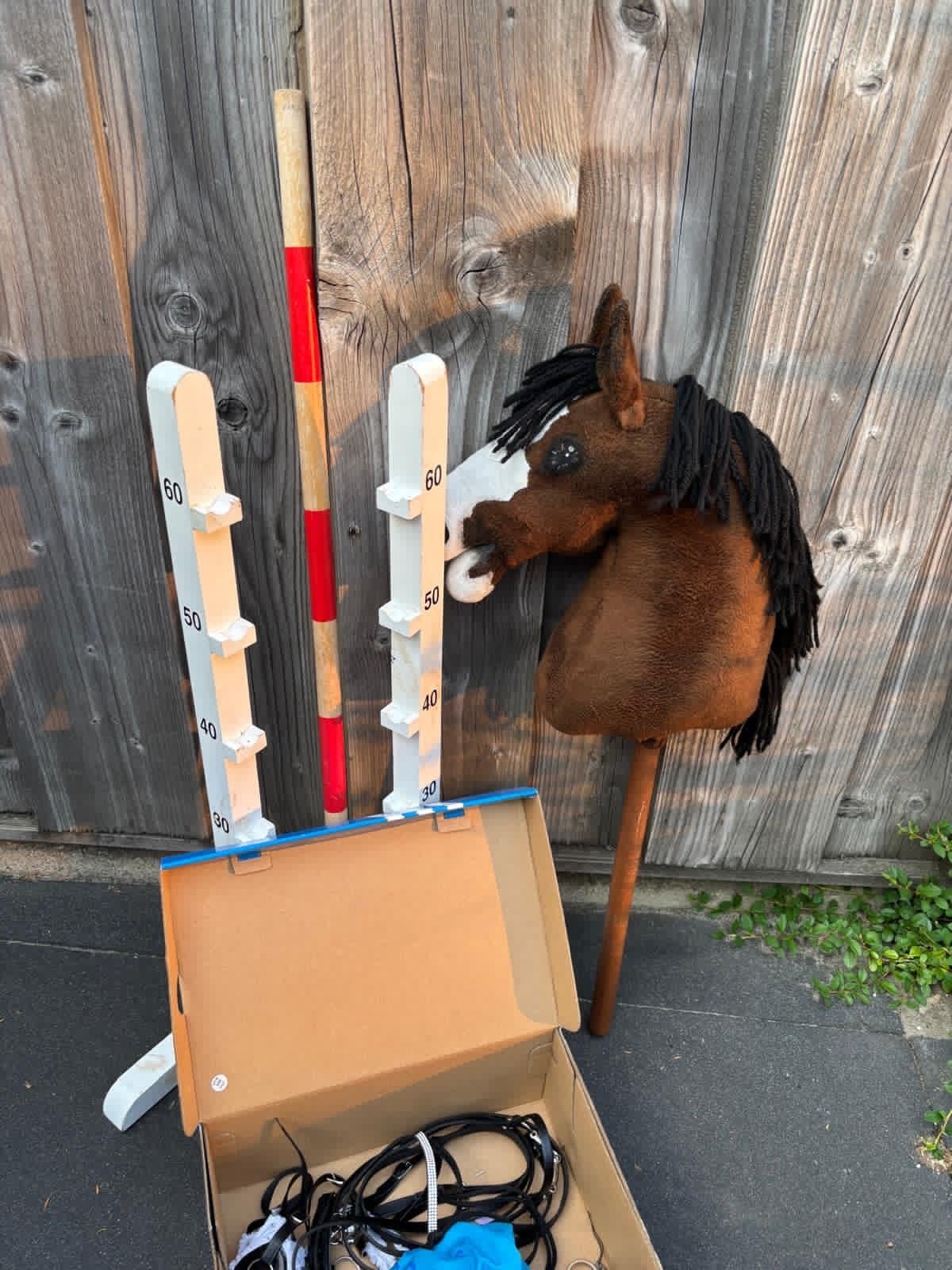 Hobbyhorse set met hindernis en accessoires, Ophalen, Zo goed als nieuw, Jongen of Meisje