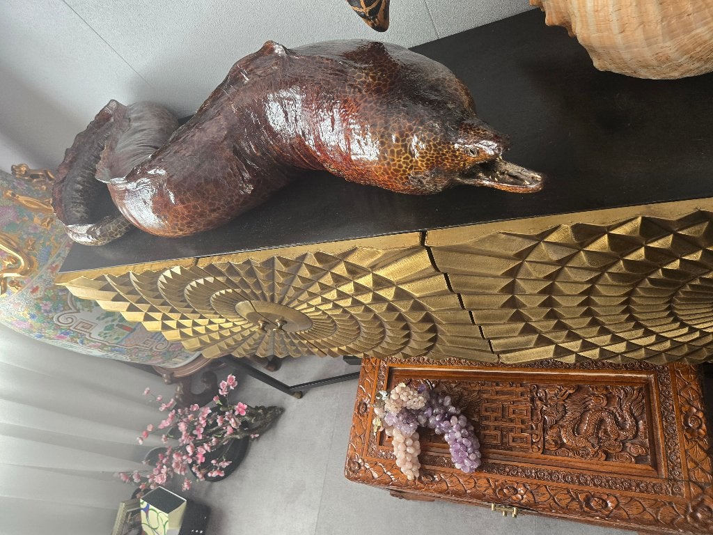 Opgezette taxidermie murene, Ophalen of Verzenden, Zo goed als nieuw, Overige soorten, Opgezet dier