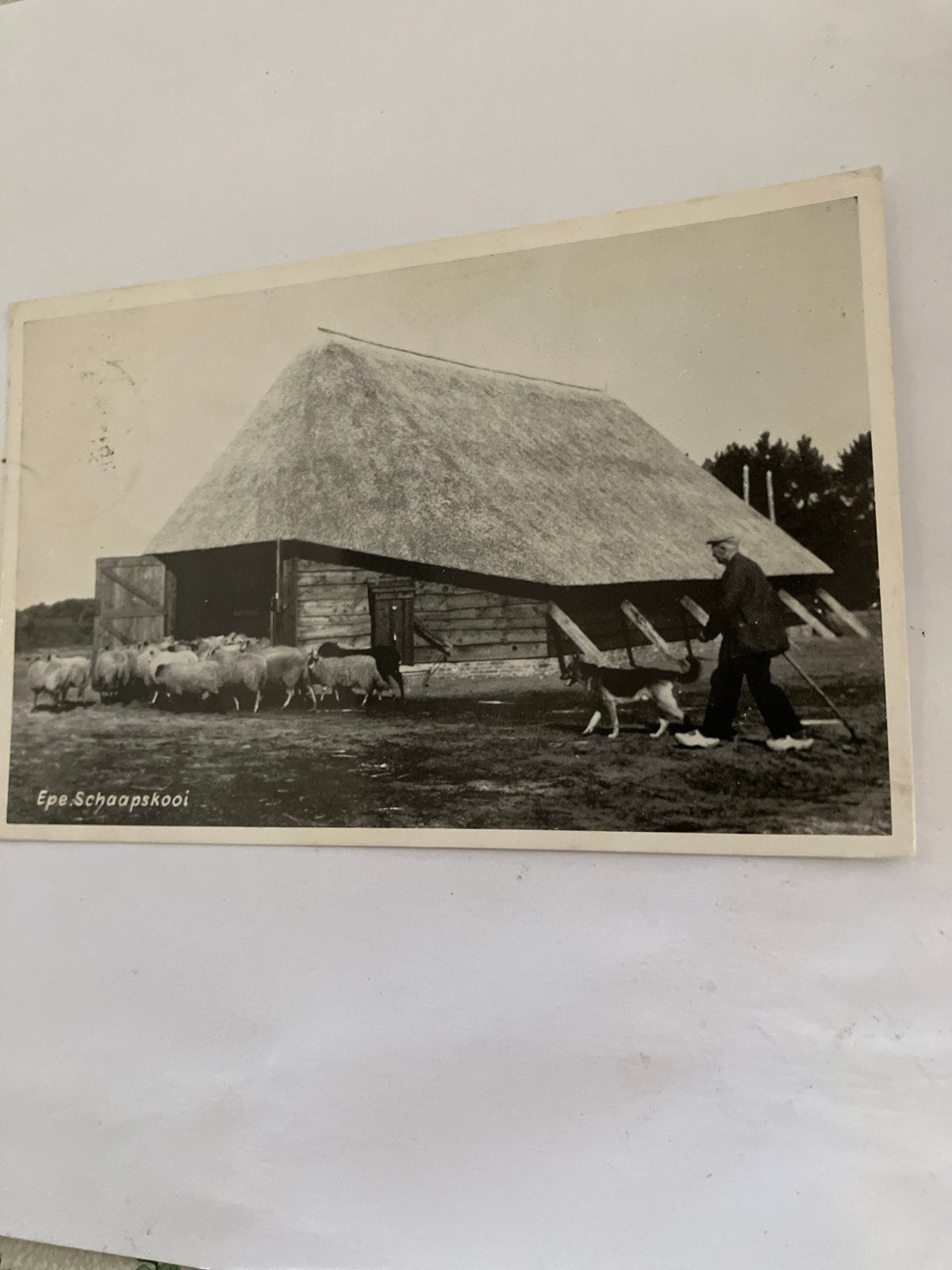 Oude Ansichtkaart Epe Schaapskooi - Gelopen, Ophalen of Verzenden, 1940 tot 1960, Gelopen, Gelderland