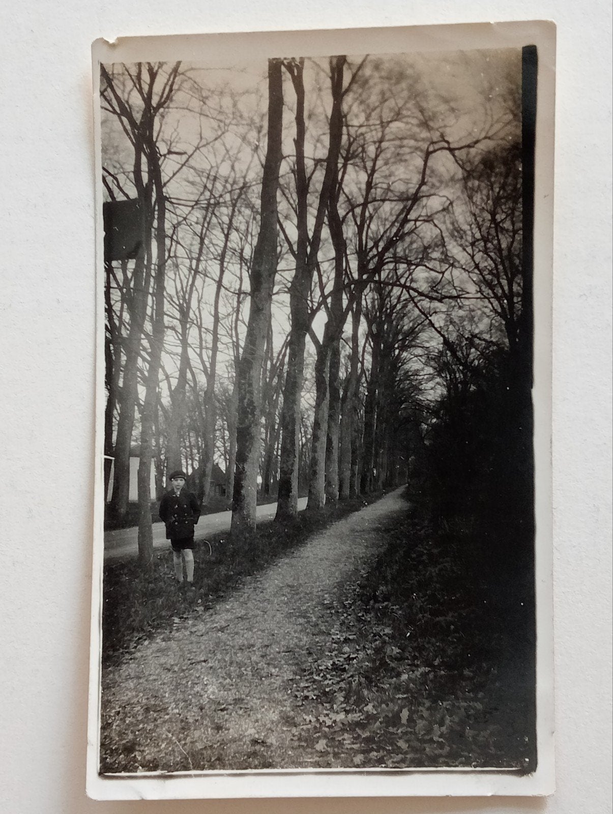 Laan met bomen en jong persoon jaren 20-40, Verzamelen, Ophalen of Verzenden, Voor 1940, Gebruikt