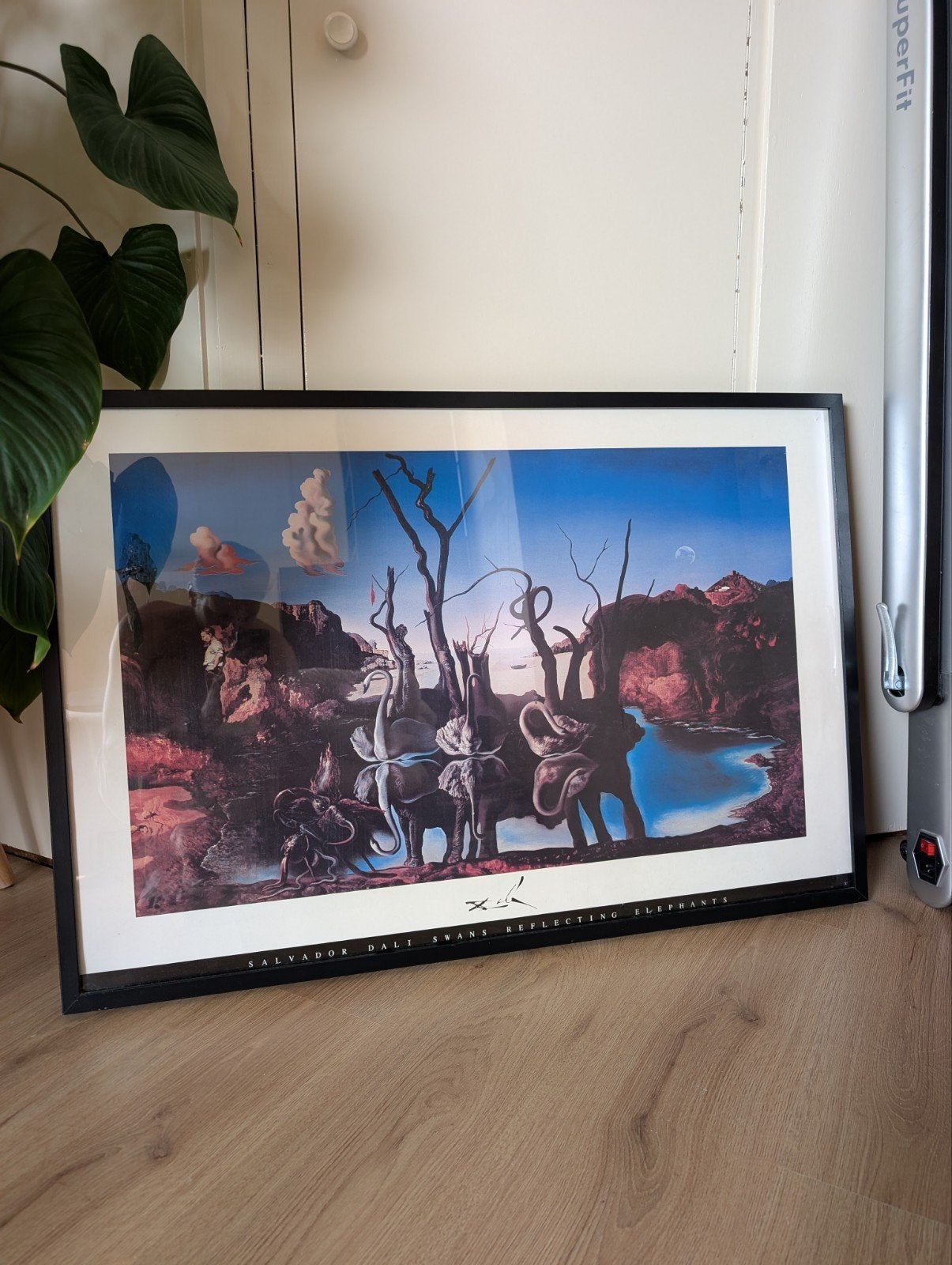 Salvador Dalí - Zwanen reflecteren olifanten (ingelijst), Gebruikt, Verwisselbare inhoud, Ophalen of Verzenden, Posterlijst