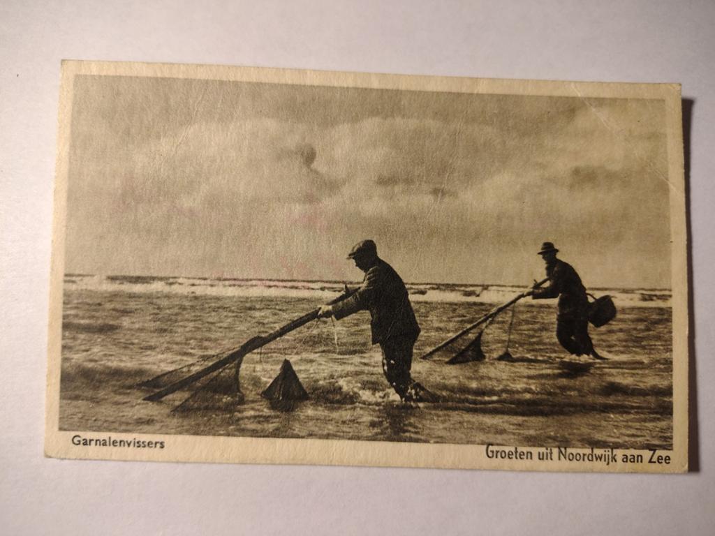 Noordwijk Garnalenvissers, Ophalen of Verzenden, Zuid-Holland