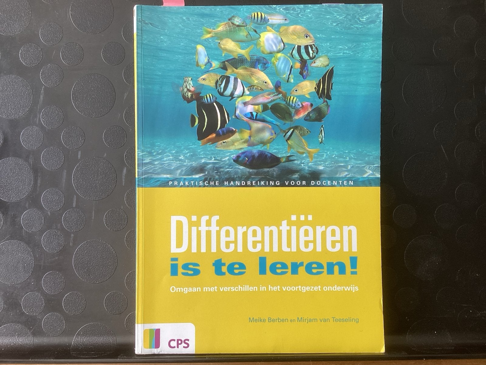 Mirjam van Teeseling - Differentieren is te leren!, Boeken, Sociale wetenschap, Ophalen of Verzenden, Zo goed als nieuw, Mirjam van Teeseling; Meike Berben
