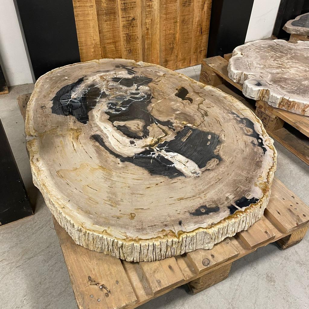Salontafel Versteend hout - Goedkoopste van de Benelux!, Huis en Inrichting, Tafels | Salontafels, Nieuw, 50 tot 100 cm, Rechthoekig