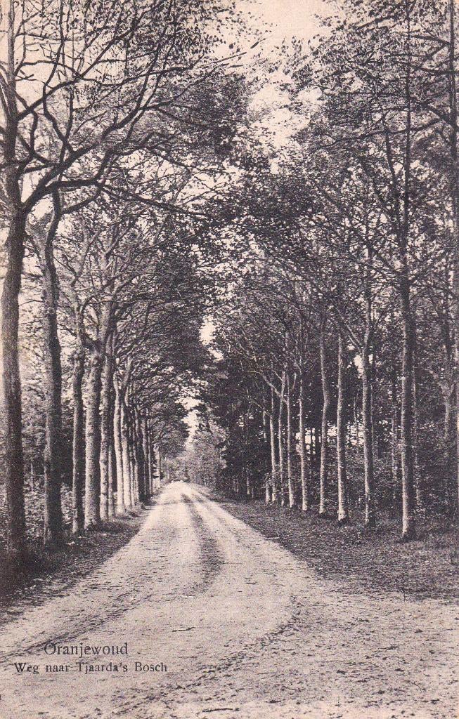 05947 Oranjewoud - Weg naar Tjaarda bosch, Verzamelen, Ansichtkaarten | Nederland, Gelopen, Friesland, 1920 tot 1940, Verzenden