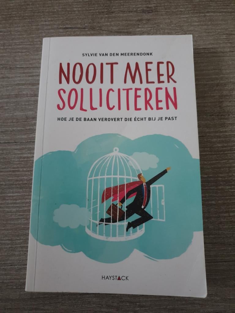 Nooit Meer Solliciteren - Sylvie van den Meerendonk, Ophalen of Verzenden, Gelezen, Sylvie van den Meerendonk