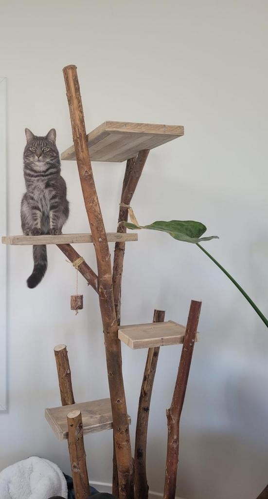 Krabpaal Model Koko, Dieren en Toebehoren, Ophalen, Nieuw, Kommiezenlaan 19, Krabpaal