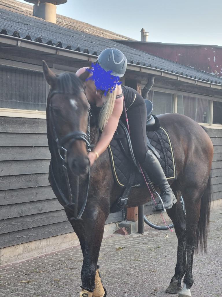 Stal Sterenberg Ten Boer paarden te lease., Dieren en Toebehoren, Weidegang