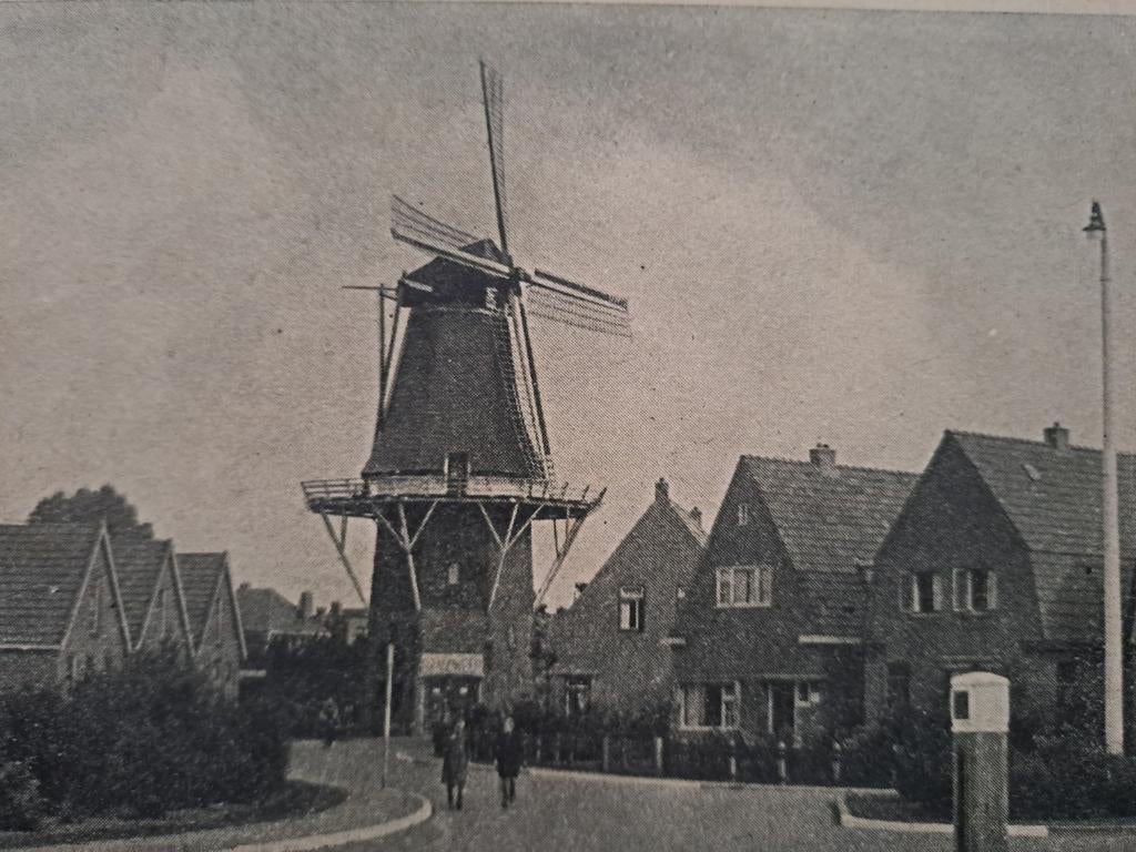 Heerenveen,  Tjepkermastraat, Ophalen of Verzenden, Voor 1920, Friesland