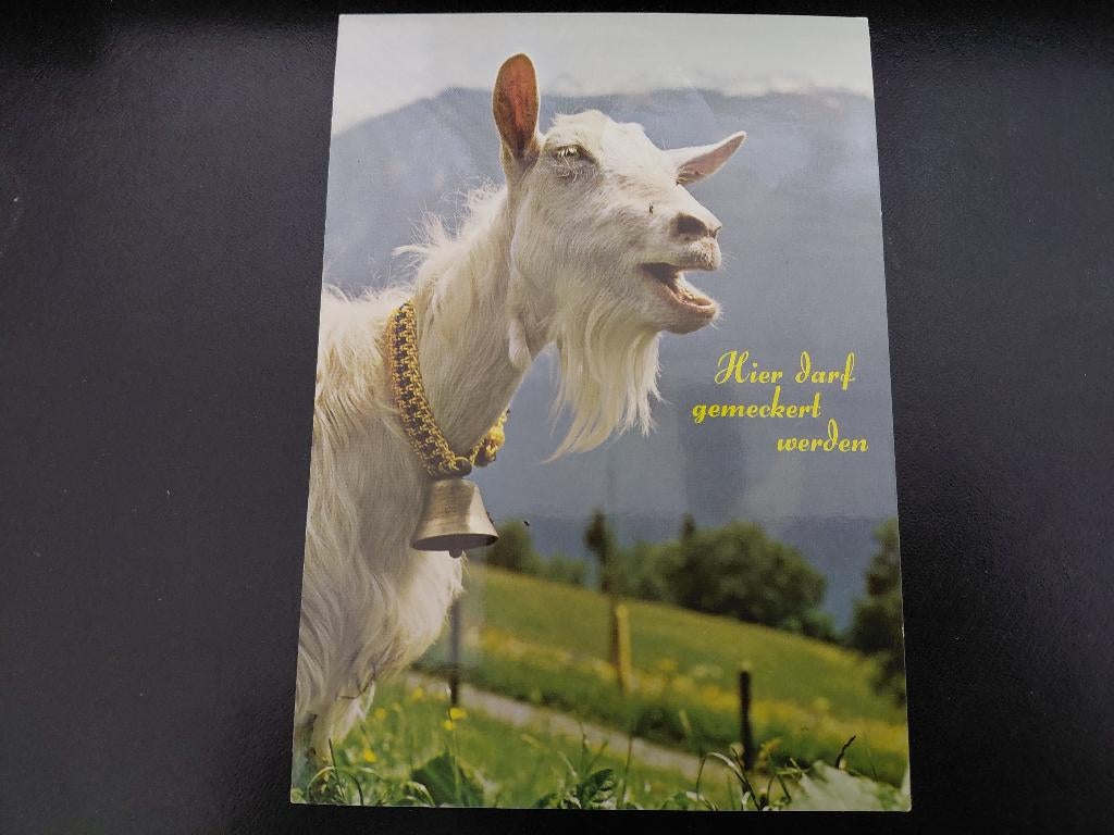 Bok met bel, hier darf gemeckert werden, gelopen, 1981., Verzenden, 1980 tot heden, Gelopen, Overige soorten