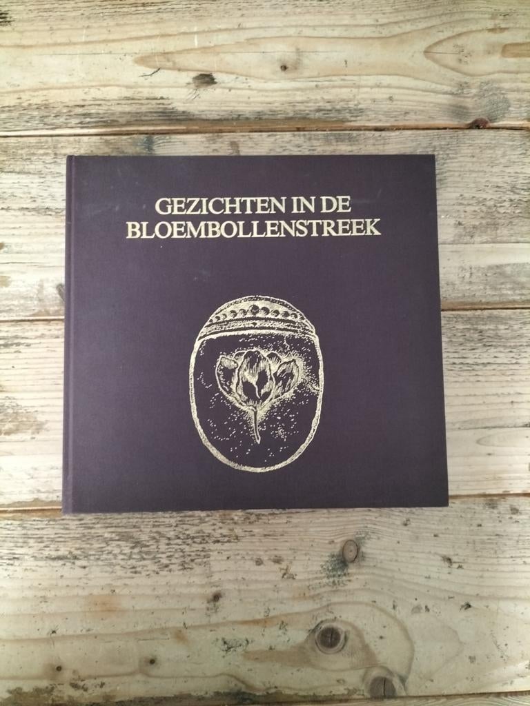 Gezichten in de Bollenstreek - A.M. Hulkenberg, Ophalen, Zo goed als nieuw, A.M. Hulkenberg, Zuid-Holland