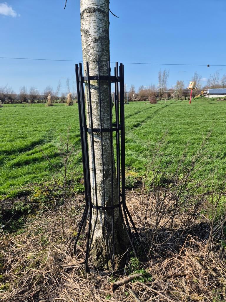 Zwart metalen boombeschermer, Ophalen, Gebruikt