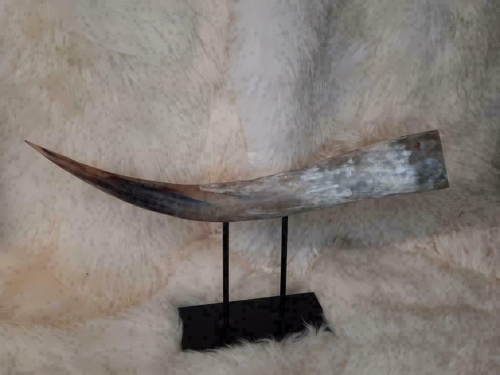 Watusi Hoorn Bewerkt op Luxe Stalen Voet, Verzenden, Westerndeco, Nieuw, Info@westerndeco.nl