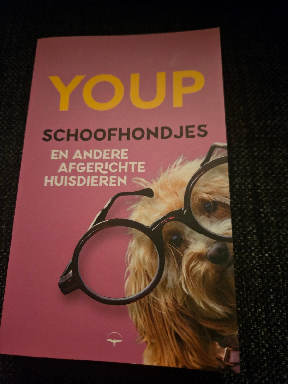 Youp - Schoofhondjes en andere afgerichte huisdieren, Ophalen of Verzenden, Zo goed als nieuw, Youp van 't Hek