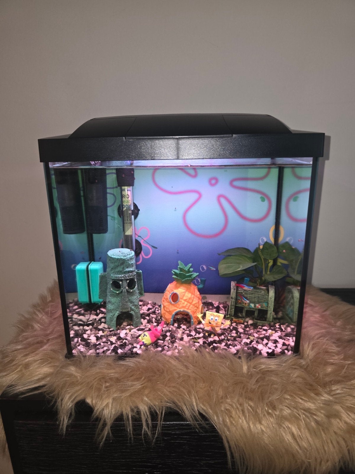 aquarium, Ophalen, Gevuld zoetwateraquarium