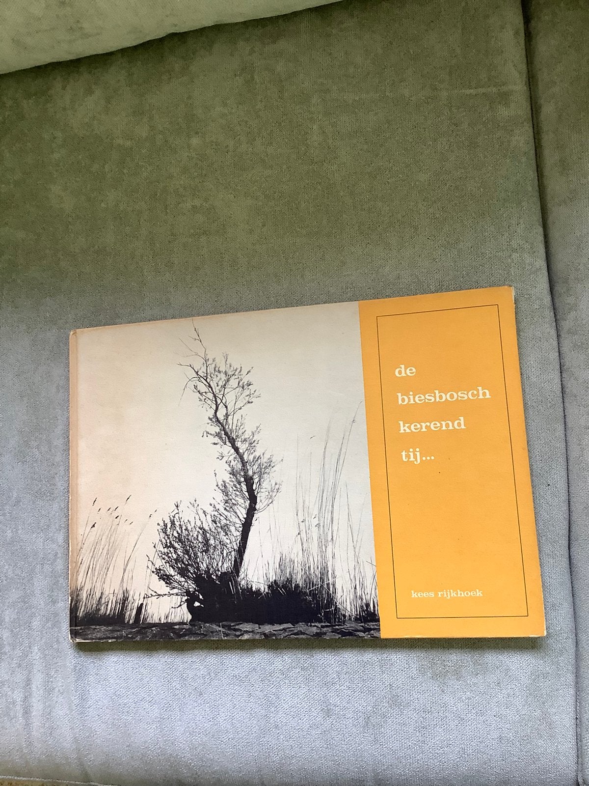 De Biesbosch, kerend tij - Kees Rijkhoek, Ophalen of Verzenden, Zo goed als nieuw