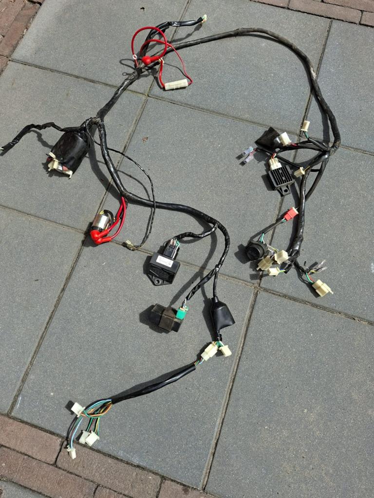 Complete kabelboom AGM vx50 gy6, Ophalen of Verzenden, Gebruikt, Overige typen, Overige merken