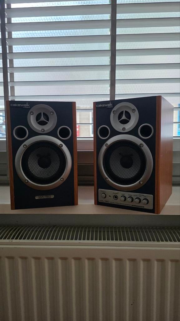 Cakewalk by Roland MA-15D Speakers, Overige merken, Gebruikt, Ophalen of Verzenden, Minder dan 60 watt