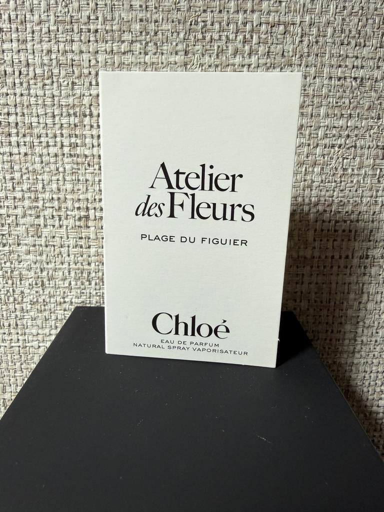 Chloe Atelier des Fleurs Plage du Figuier, Ophalen of Verzenden, Nieuw