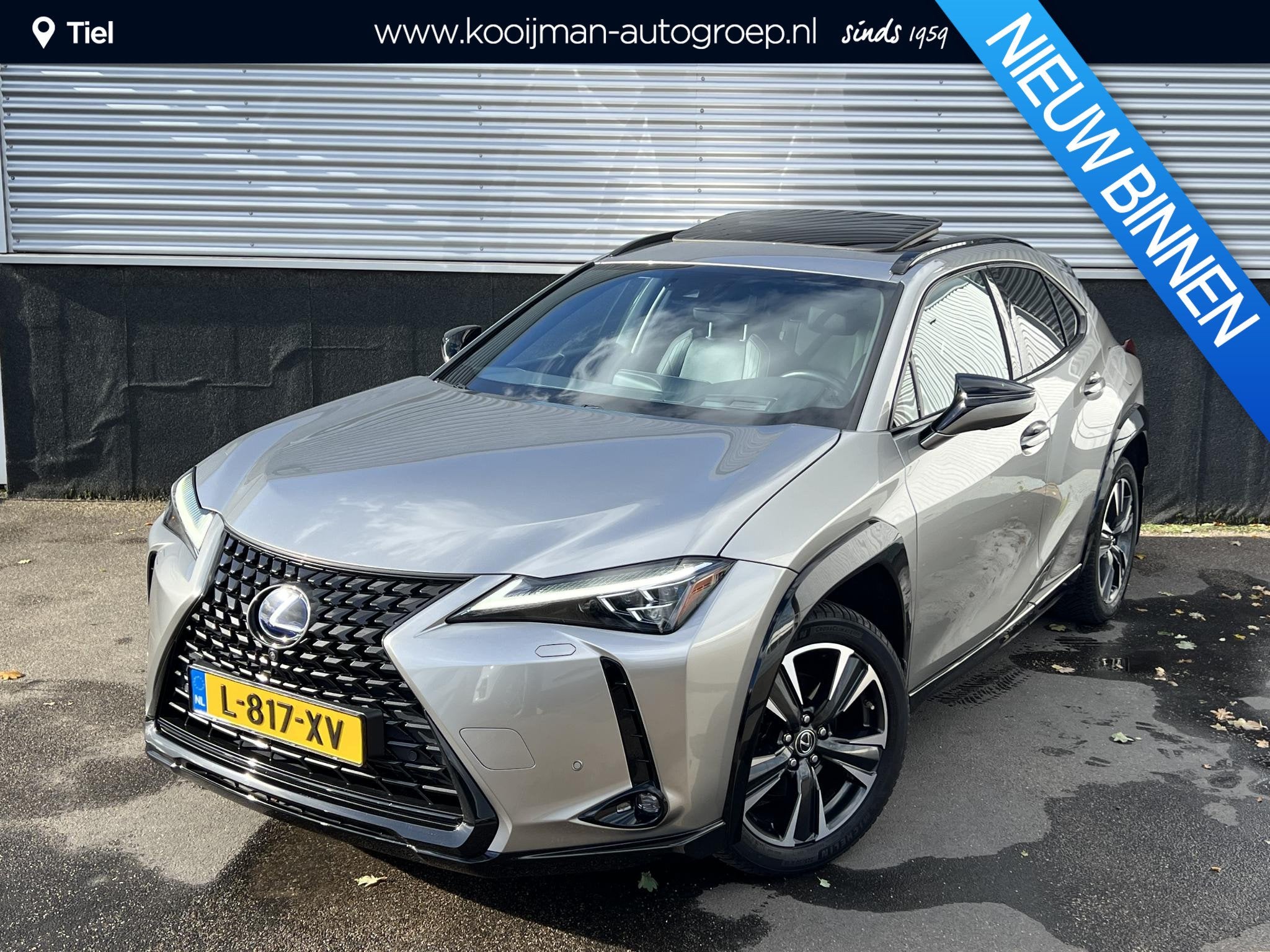 Lexus UX 250h Executive Line Schuifkanteldak / Lederen inter, Auto's, Gebruikt, 4 cilinders, Verwarmde buitenspiegels, 23 km/l
