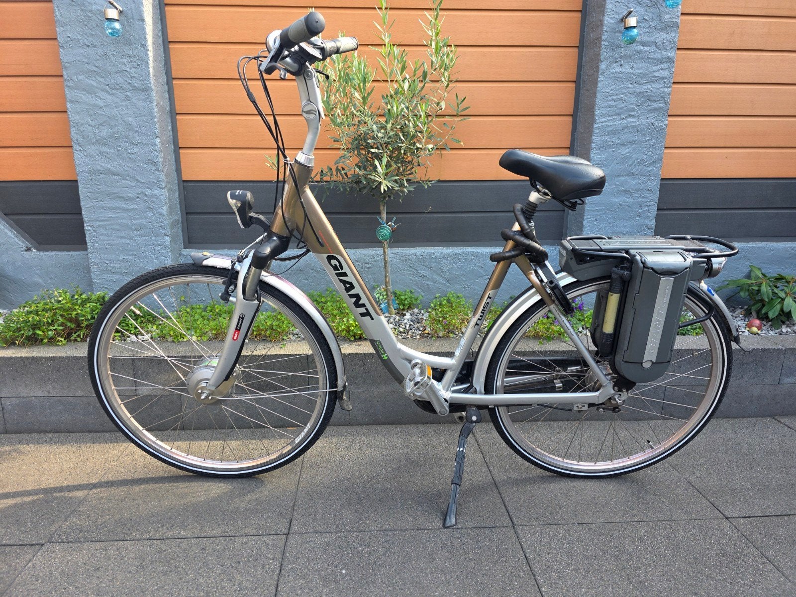 Giant Twist double maat L elektrische fiets met 2 accu's, Ophalen, Gebruikt