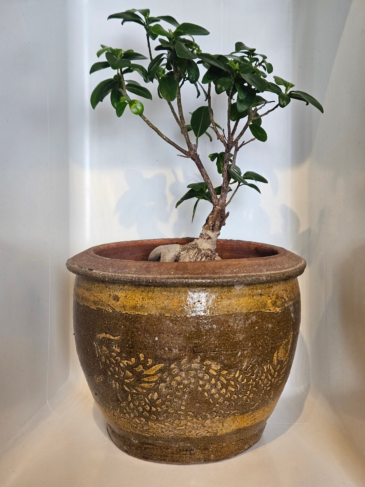 Vintage Chinese drakenpot Thaise pot draak 19 x 23 cm, Gebruikt, Verzenden, Rond, Balkon