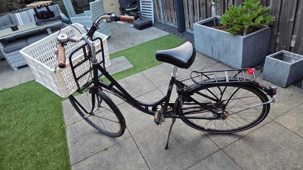Damesfiets met mand - Ideaal voor boodschappen, Velgrem, Versnellingen, Ophalen, Overige merken