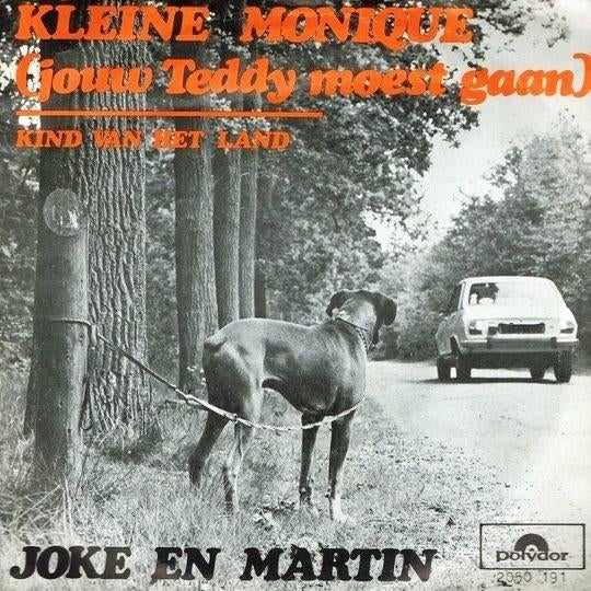 Vinylsingles martin snijders gezocht  ,zie foto's, Cd's en Dvd's, Vinyl | Nederlandstalig, Ophalen of Verzenden, Zo goed als nieuw