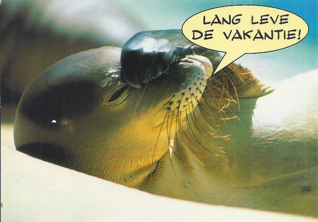 P50 Gelopen ansichtkaart lang leve de vakantie, Verzamelen, Ansichtkaarten | Themakaarten, Ophalen of Verzenden, 1980 tot heden