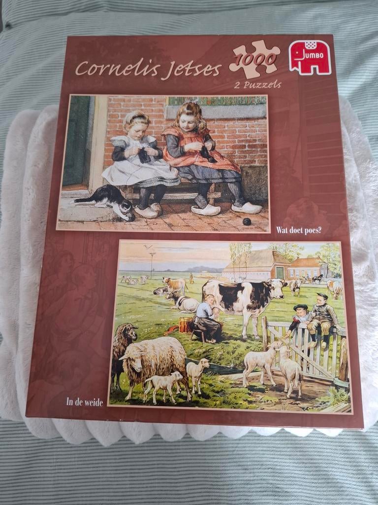 2 in 1 puzzel. Van Cornelis Jetses, Verzenden, 500 t/m 1500 stukjes, Zo goed als nieuw, Legpuzzel