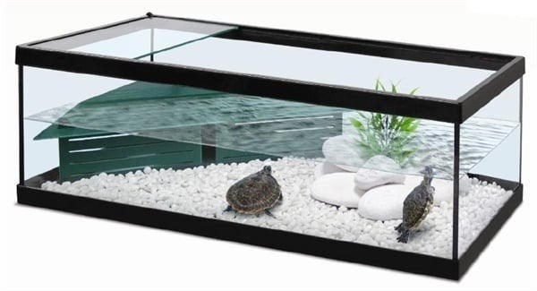 gezocht: aquarium schildpadden, Dieren en Toebehoren, Ophalen of Verzenden