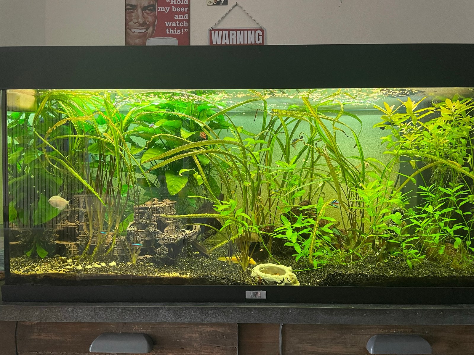 Juwel aquarium, Dieren en Toebehoren, Ophalen, Gebruikt, Gevuld zoetwateraquarium, Juwel