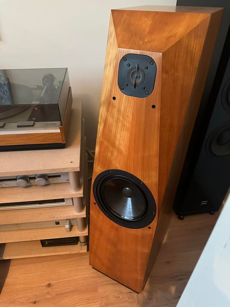 Avalon Arcus luidsprekers, Audio, Tv en Foto, Luidsprekers, Zo goed als nieuw, 120 watt of meer, Front, Rear of Stereo speakers