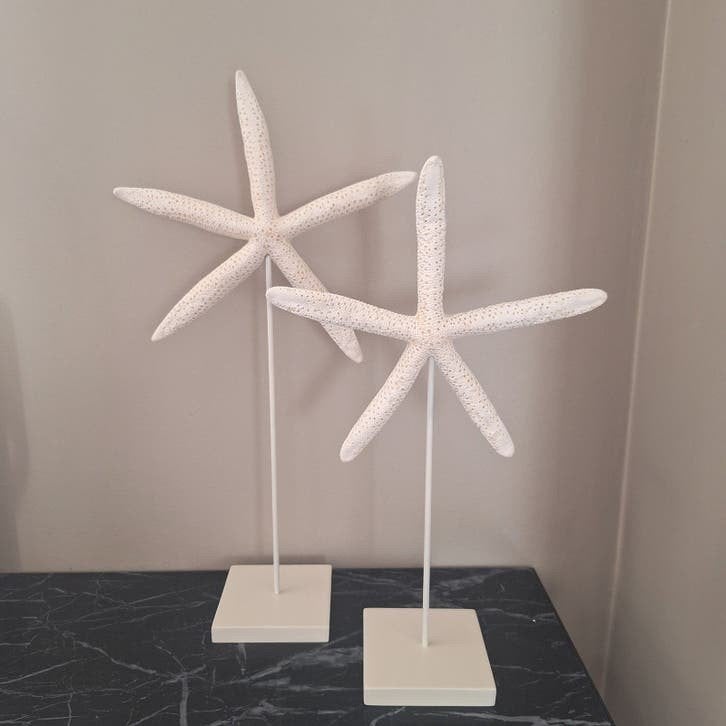 Mooie crème kleur zeester ornamenten japandi chique, Nieuw, Ophalen of Verzenden, X, X