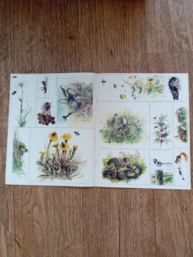 Knipsel Libelle - Natuur, Ophalen of Verzenden, Gebruikt