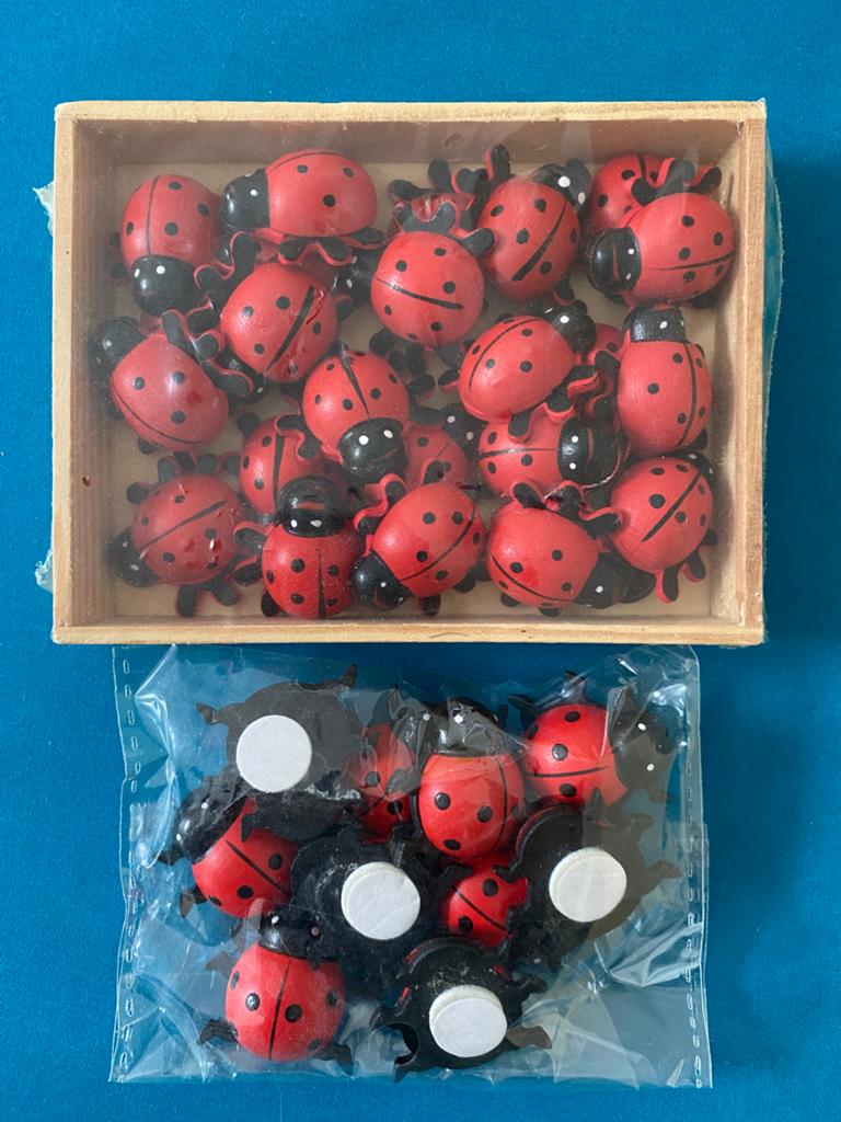 Leuke houten lieveheersbeestjes om mee te knutselen, Dieren, Nieuw, Knutselmateriaal, Rood